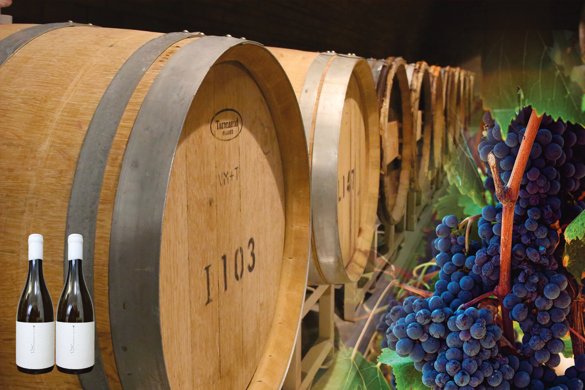 醸造所地下のワインセラーは一般公開されており、テイスティングも楽しめる。
