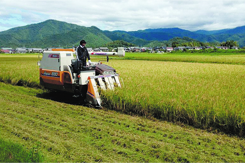 「にこまる」や「長寿米」など、安全で美味しい米作りに取り組む吉田農園(株)。