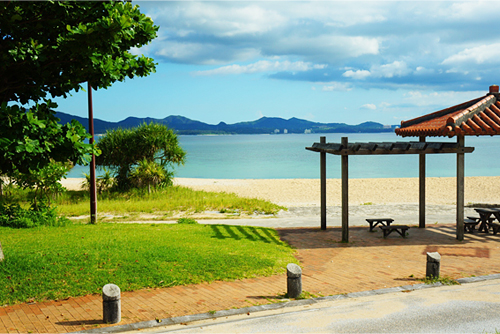 美しい海と空気に恵まれた沖縄は特色ある食材の宝庫。