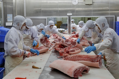 枝肉加工場へ運ばれた豚は、無駄のないよう人の手で丁寧に処理が施され店舗へ出荷されていく。