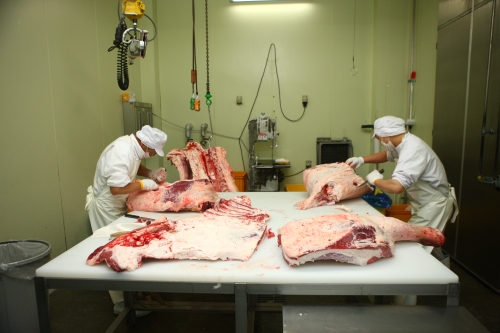 出荷された牛は自社の加工場で丁寧に解体され、熟成用と精肉用に分けられる。