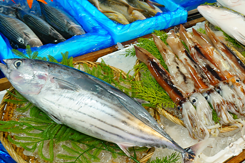 活きのいい鮮魚は、地域住民の食卓に欠かせない存在。要望があれば、その場で処理や調理もしてくれる。