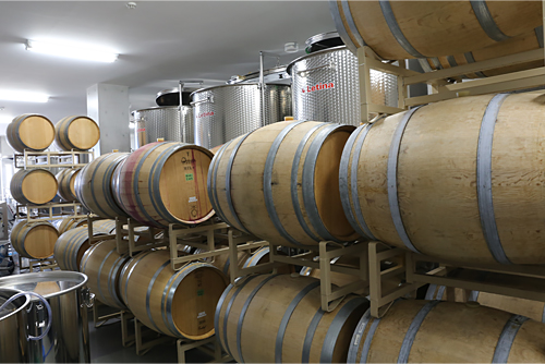 5万本分の容量を誇る発酵・貯蔵スペース。オーク樽の中で、ワインがゆっくり香りと味わいを深めていく。
