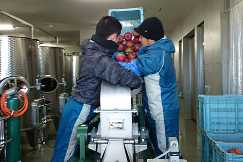 同社の人気商品・シードルの原料となるリンゴもすべて長野県産。