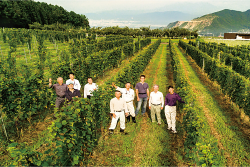 恵まれた環境を活かした高品質なブドウ栽培に定評がある高山村のワインブドウ生産者たち。